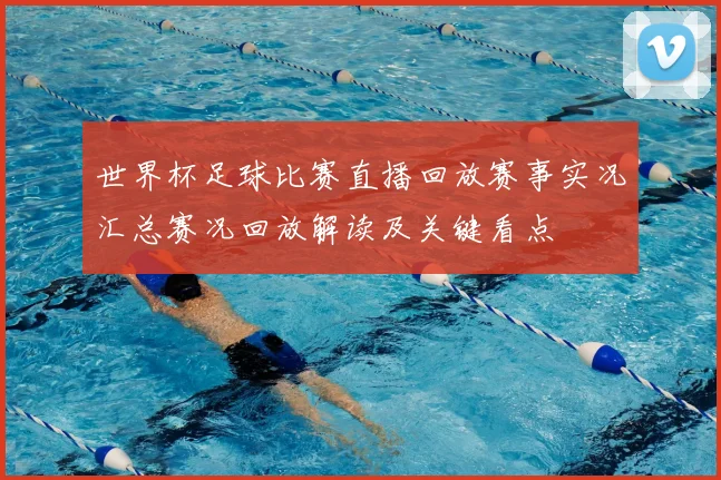 世界杯足球比赛直播回放赛事实况汇总赛况回放解读及关键看点