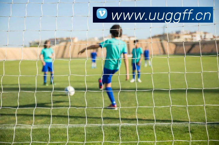 App Interface Preview